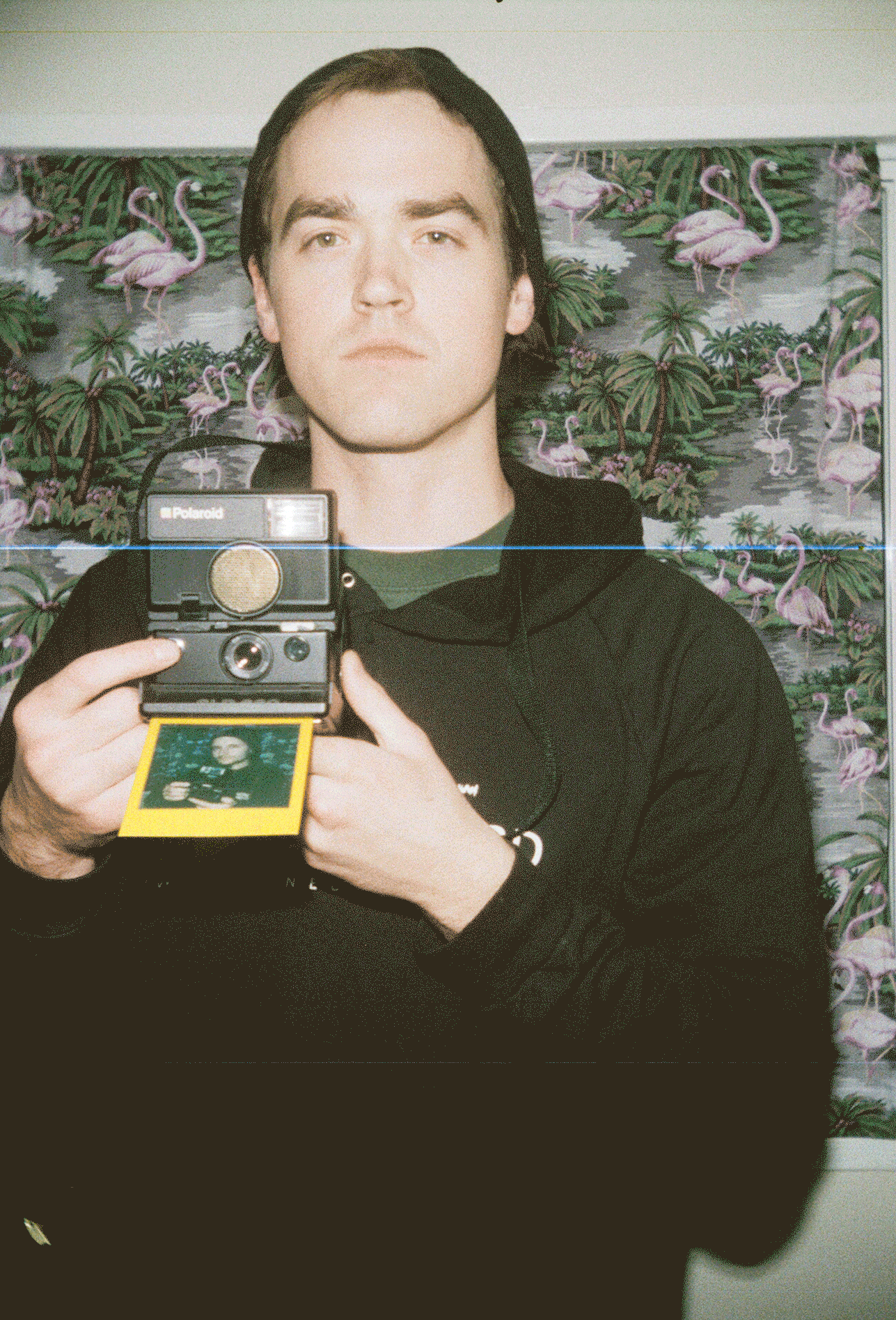 Poopy-Poloroid_02.gif