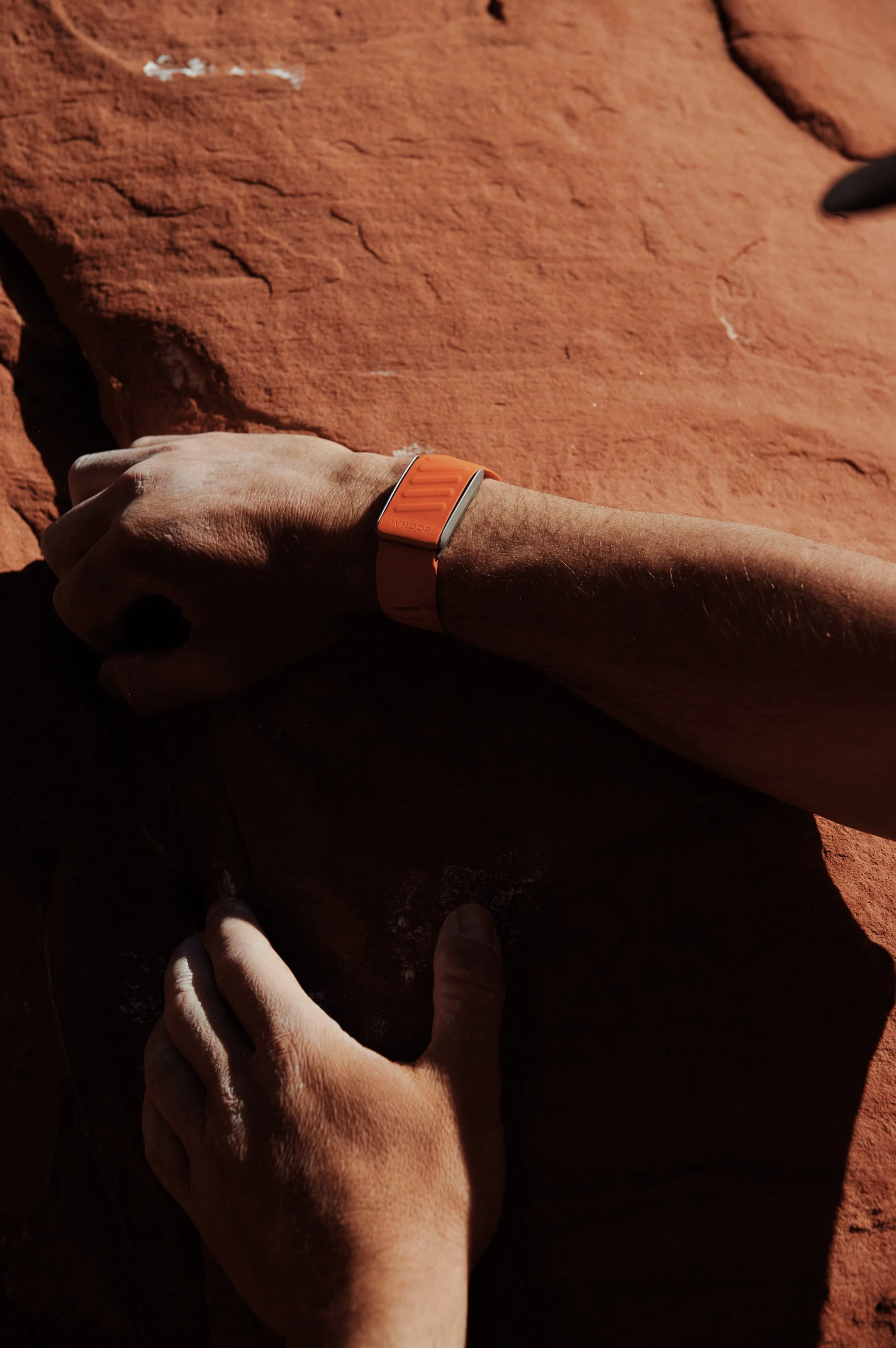 240223_whoop_honnold_film_NTH_8907_WEB RES.jpg