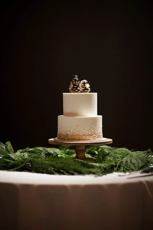 Cake 3.jpg