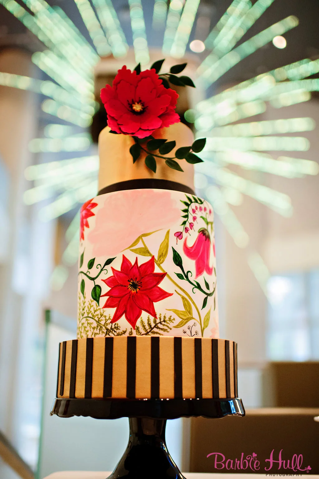  Barbie Hull Photography 