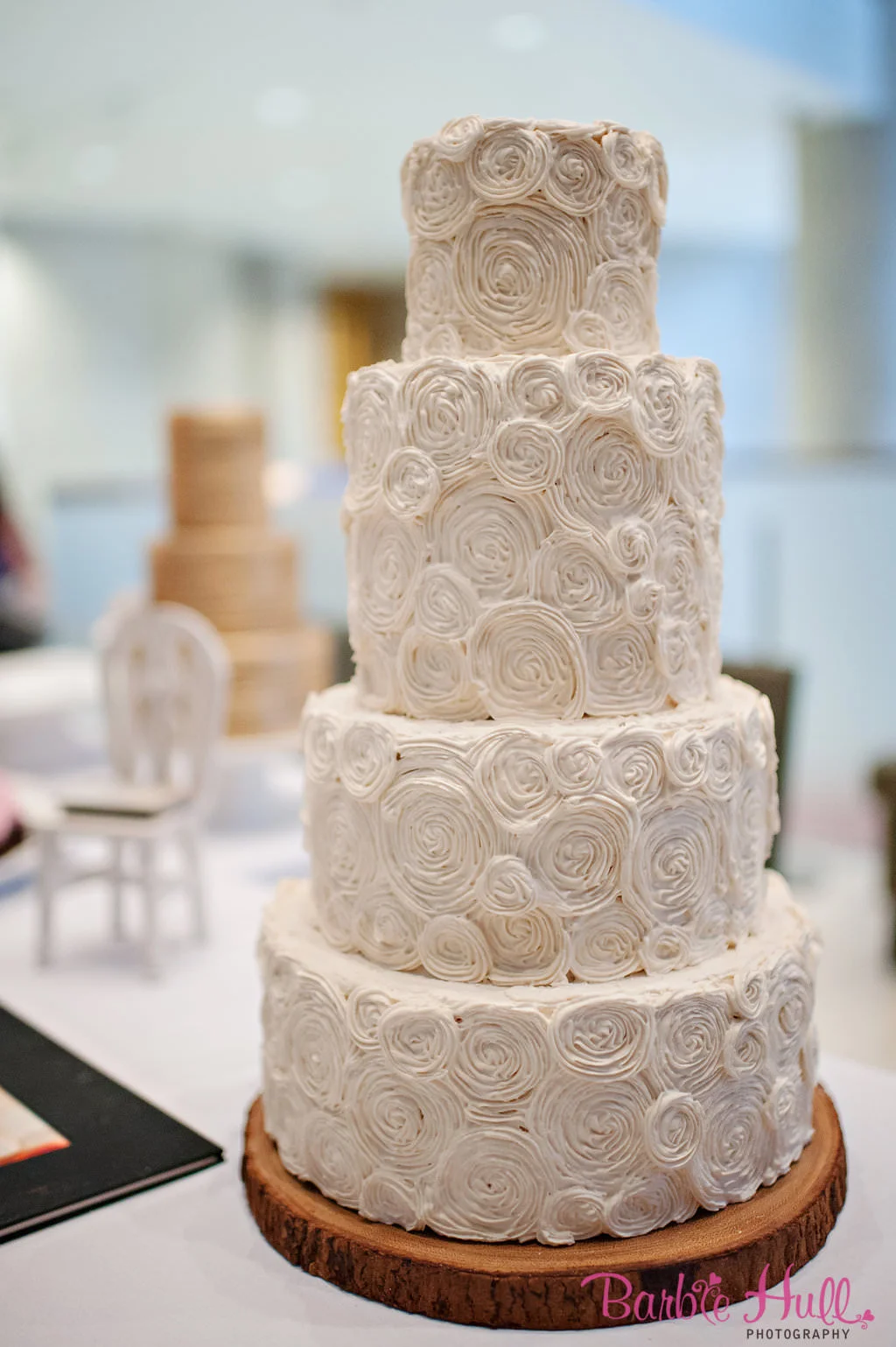  Barbie Hull Photography 