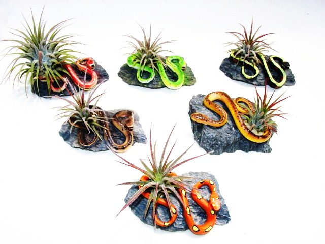 #250 Mini-snakes