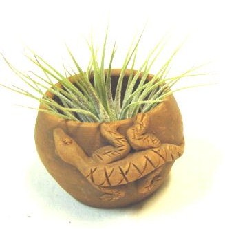 #288 Lizard pot