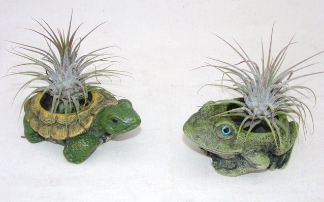 #347 Frog or Turtle tealight
