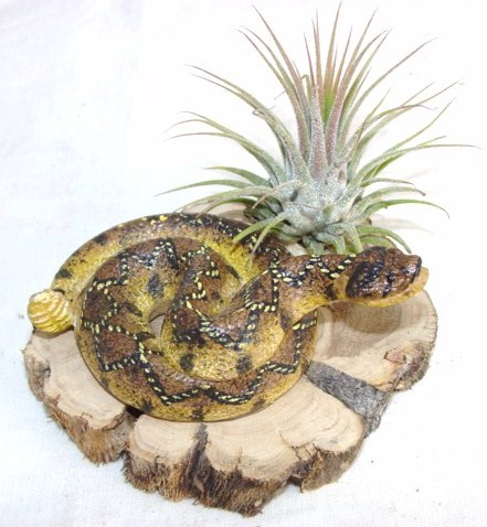 #379 Rattlesnake