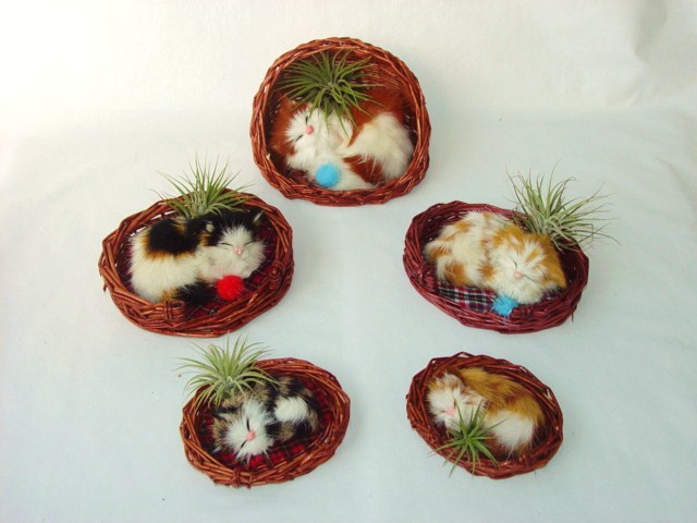 Fuzzy Cats #439 sm, #411 med, #412 lg