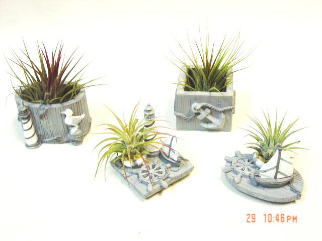 #275 Nautical boxes & lids