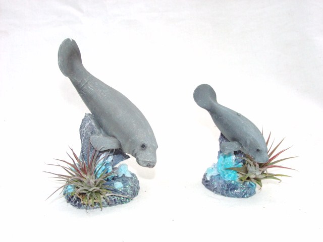 #370 Sm Manatee, #371 Lg Manatee