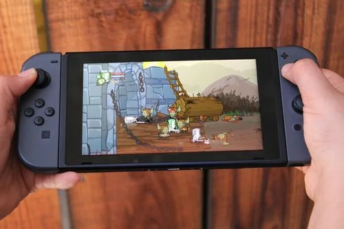 castle crashers switch.jpeg