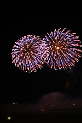 Fireworks \ Pyrotechnic Display Sample 24