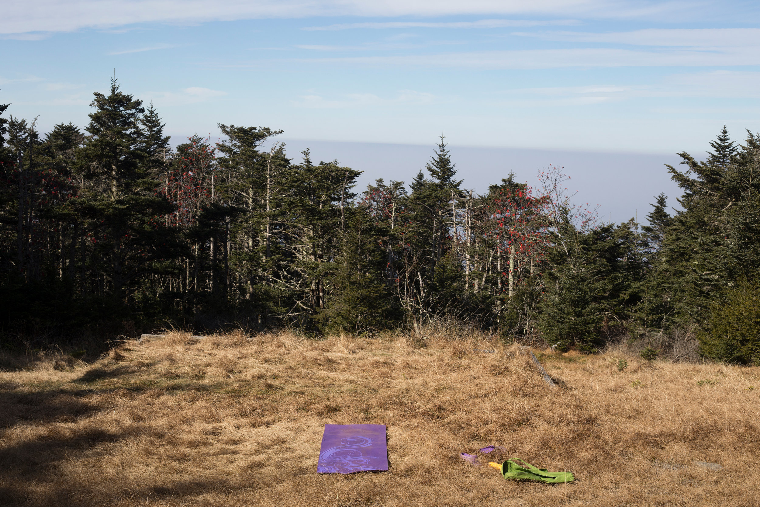 Yoga_November_Leconte_web.jpg