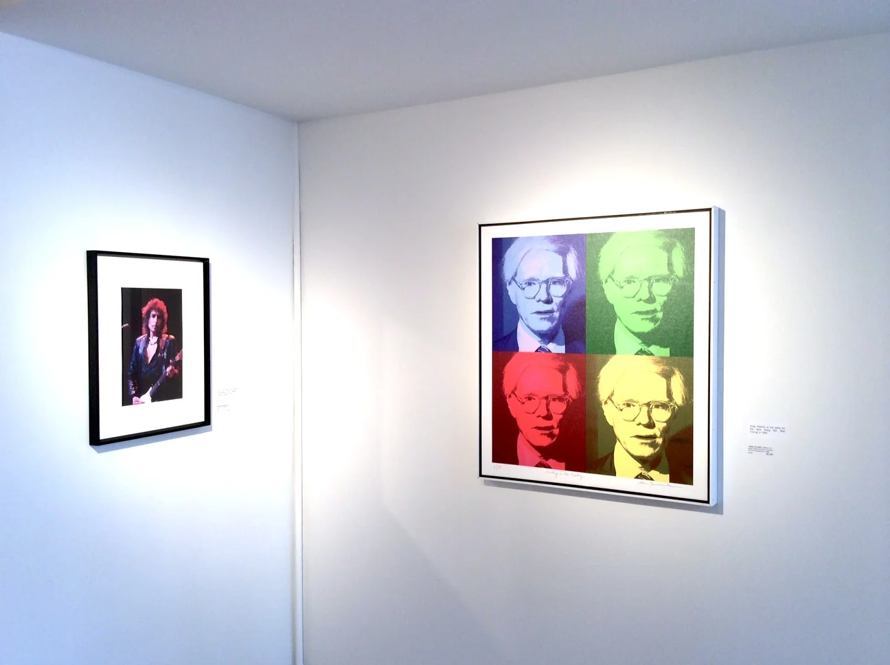 Bob Dylan Stratocaster-02.JPG