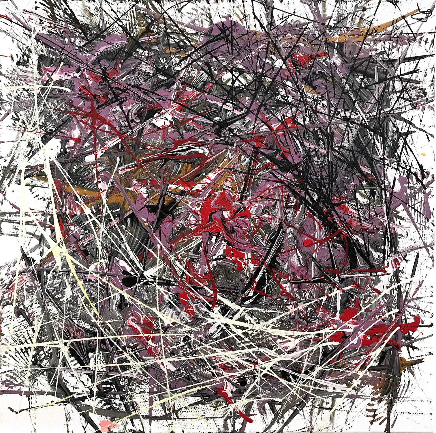Crown of Thorns, 2017
