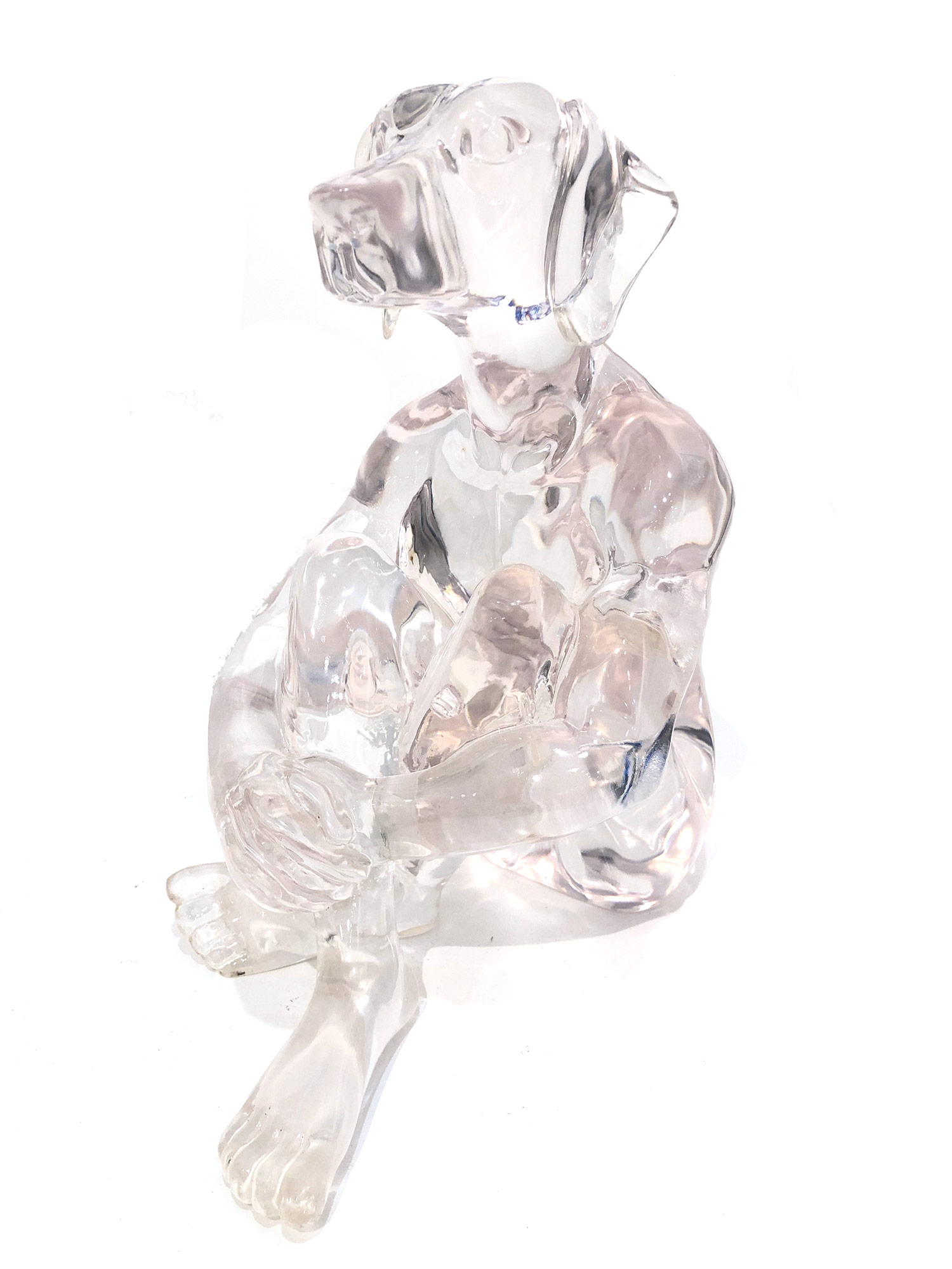 Lolly Dogman (Clear), 2016