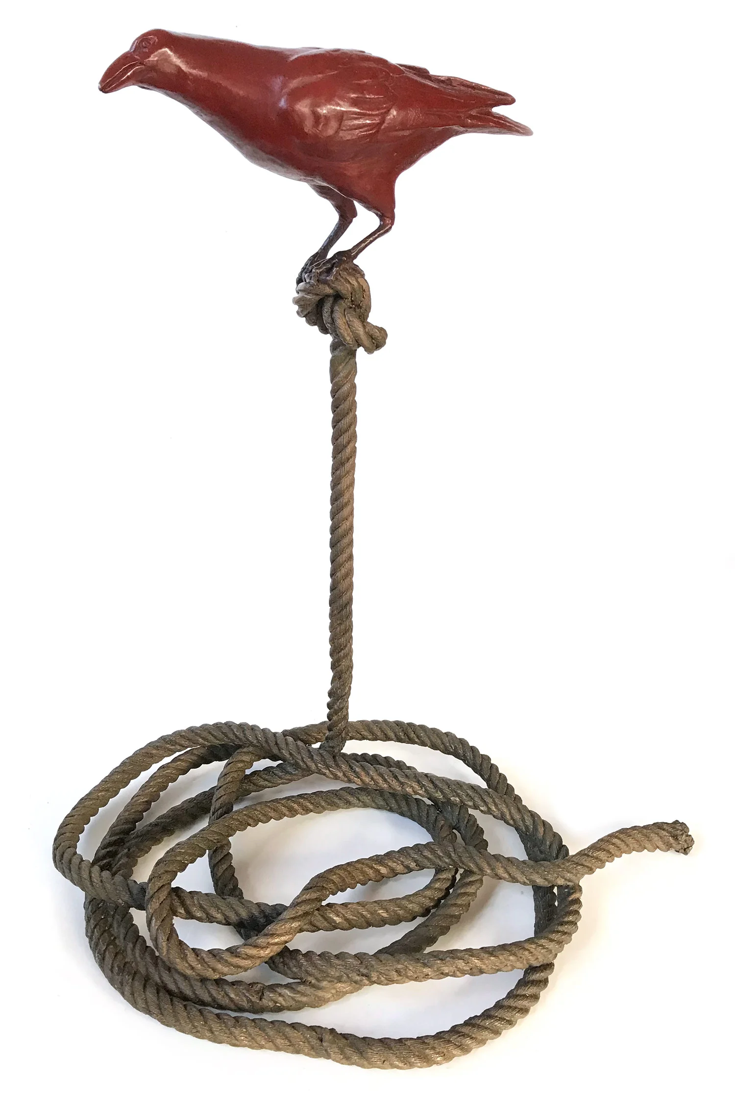 Harold, The Magpie on Rope, 2016
