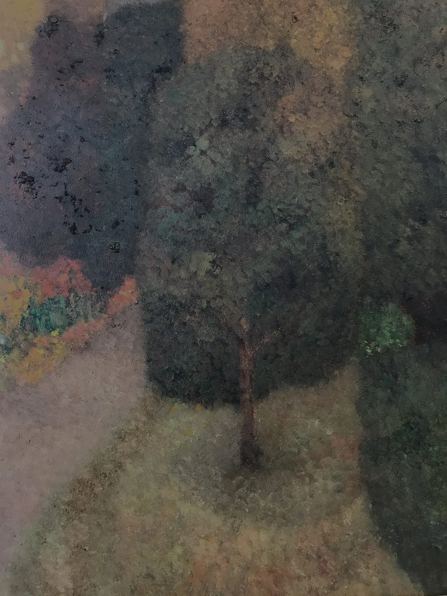 003748_6.jpg