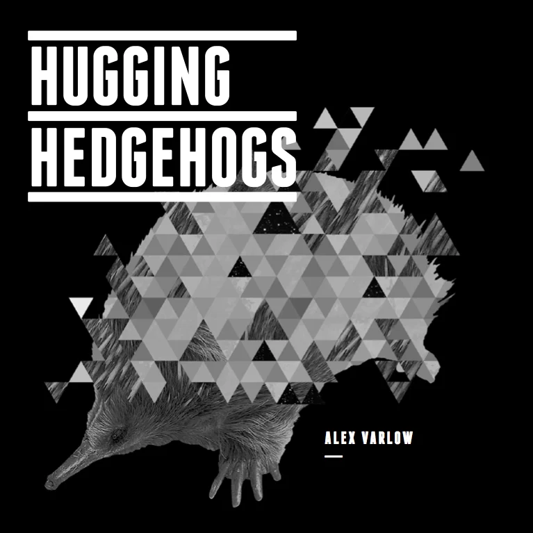Hugging Hedghogs Artwork V2.jpg