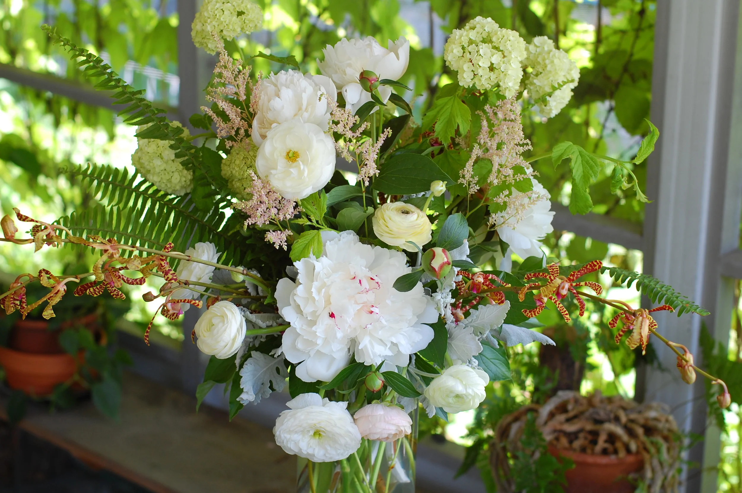 flora bella
