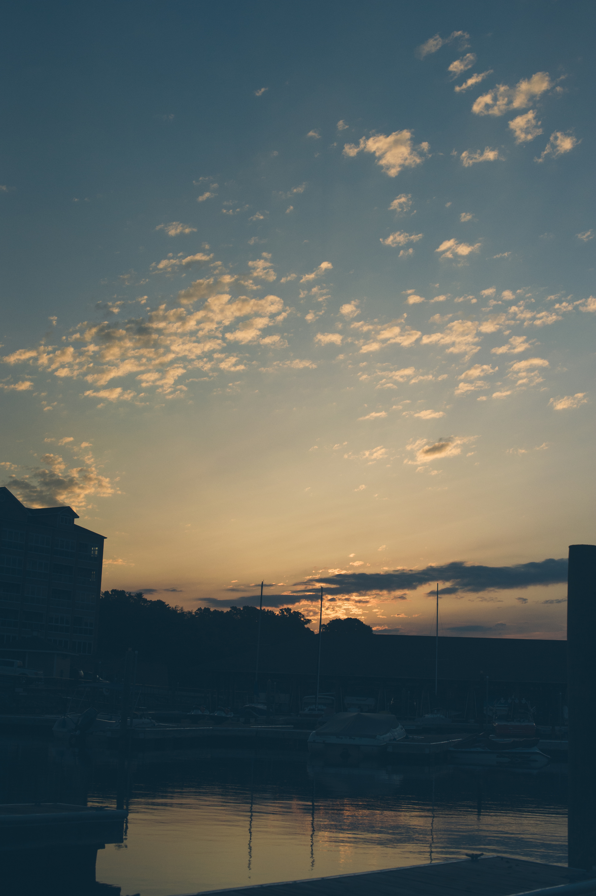 DSC_9774.jpg