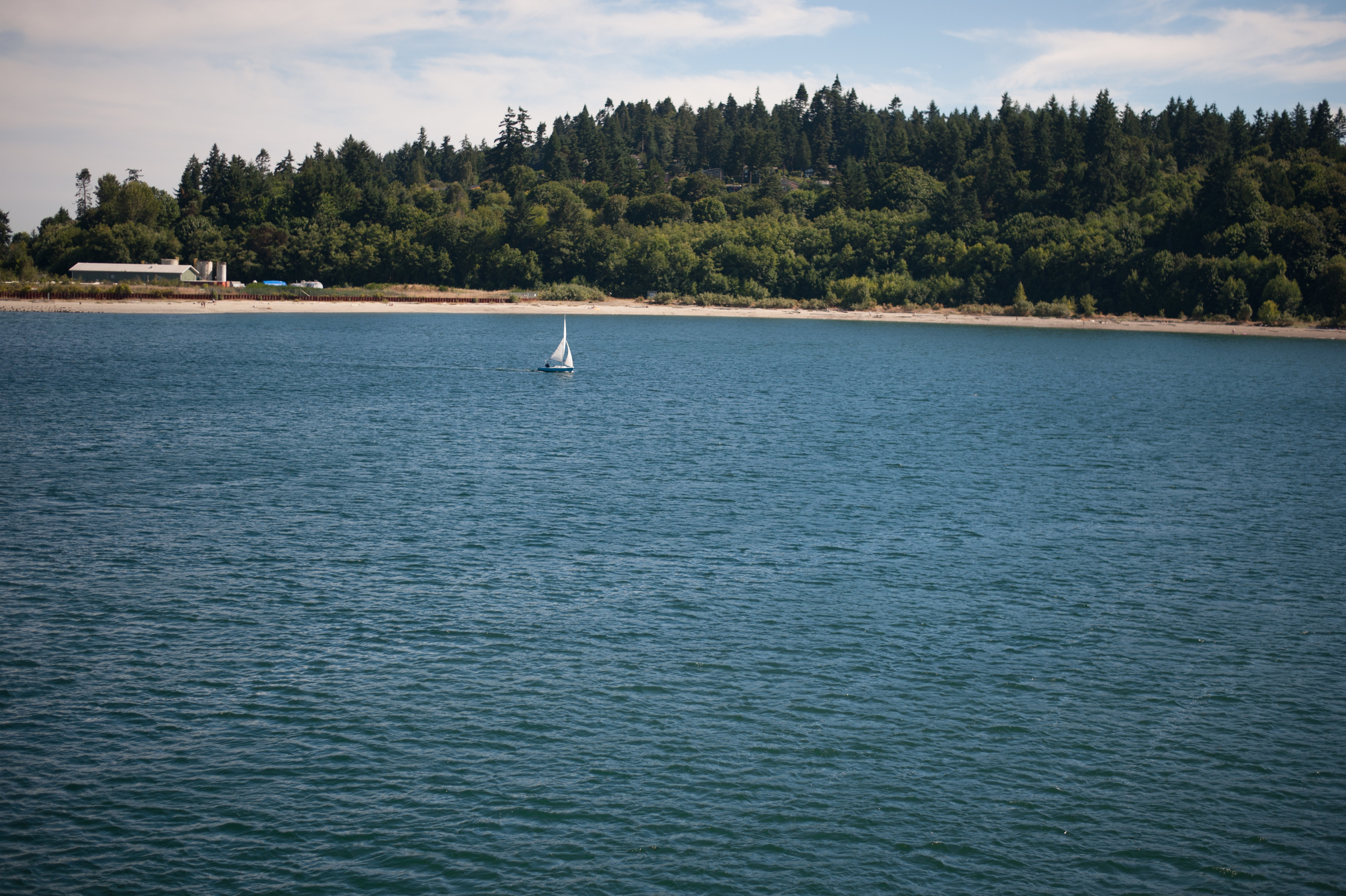 DSC_6276.jpg