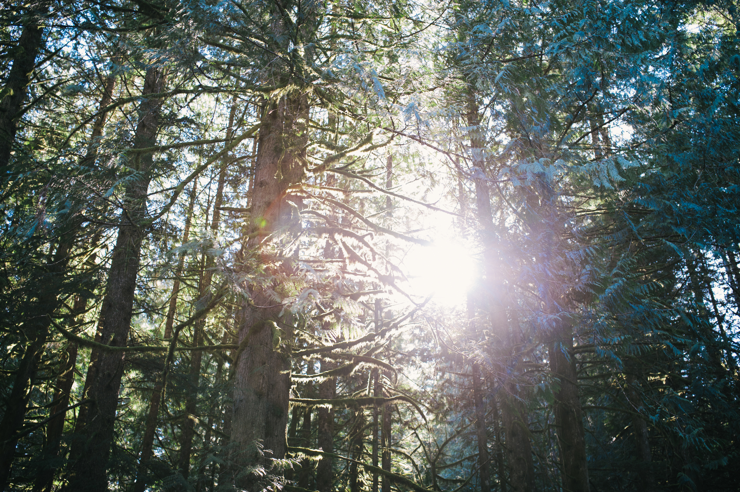 DSC_9743.jpg