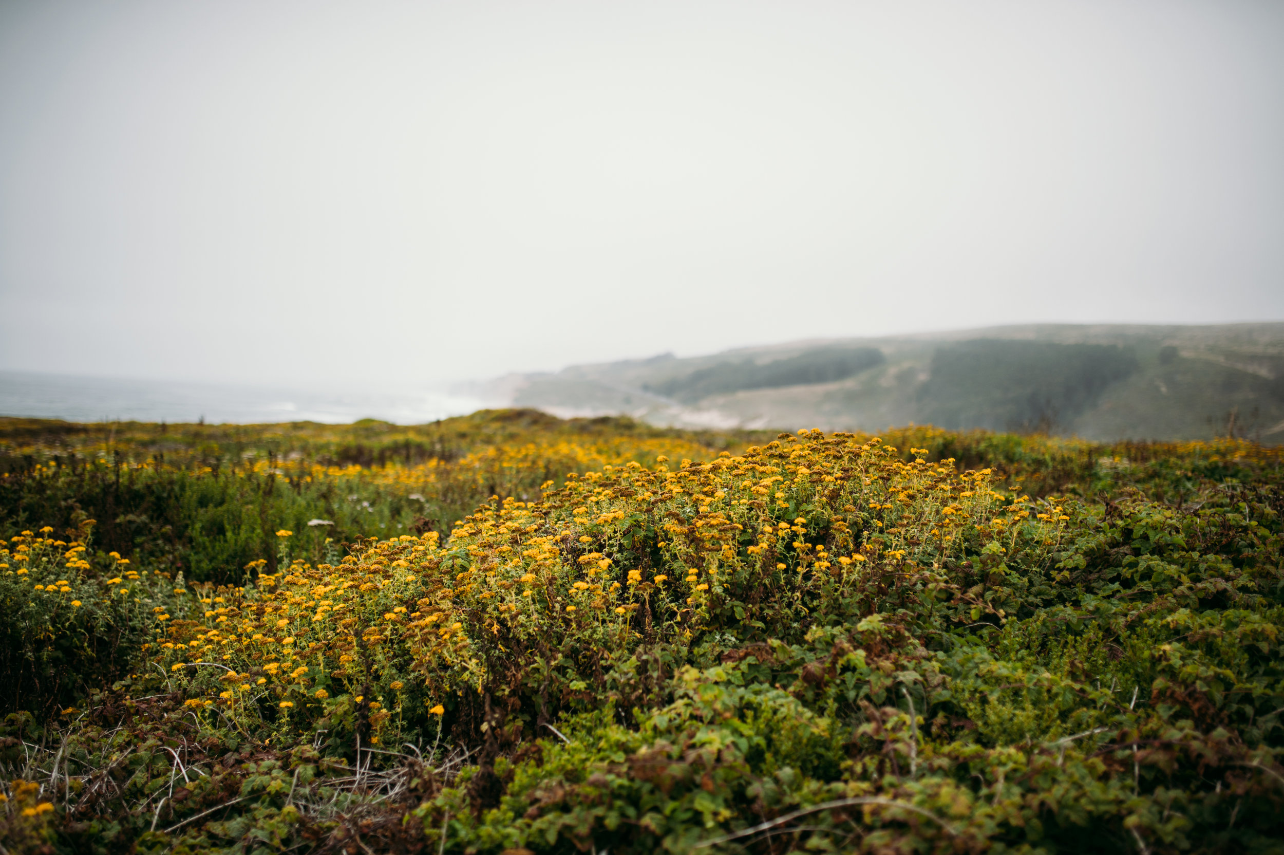 DSC_4684.jpg