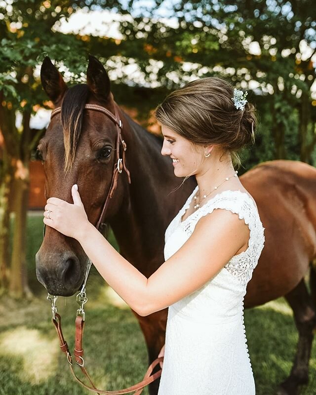 Just a horse and a bride. Are all the childhood dreams coming true at once now?! #bridal #lookslikefilm #lookslikefilmweddings #weddingday #details #cathedralveil #nashvilleweddingphotographer #tennesseewedding #equestrian #equestrianlife