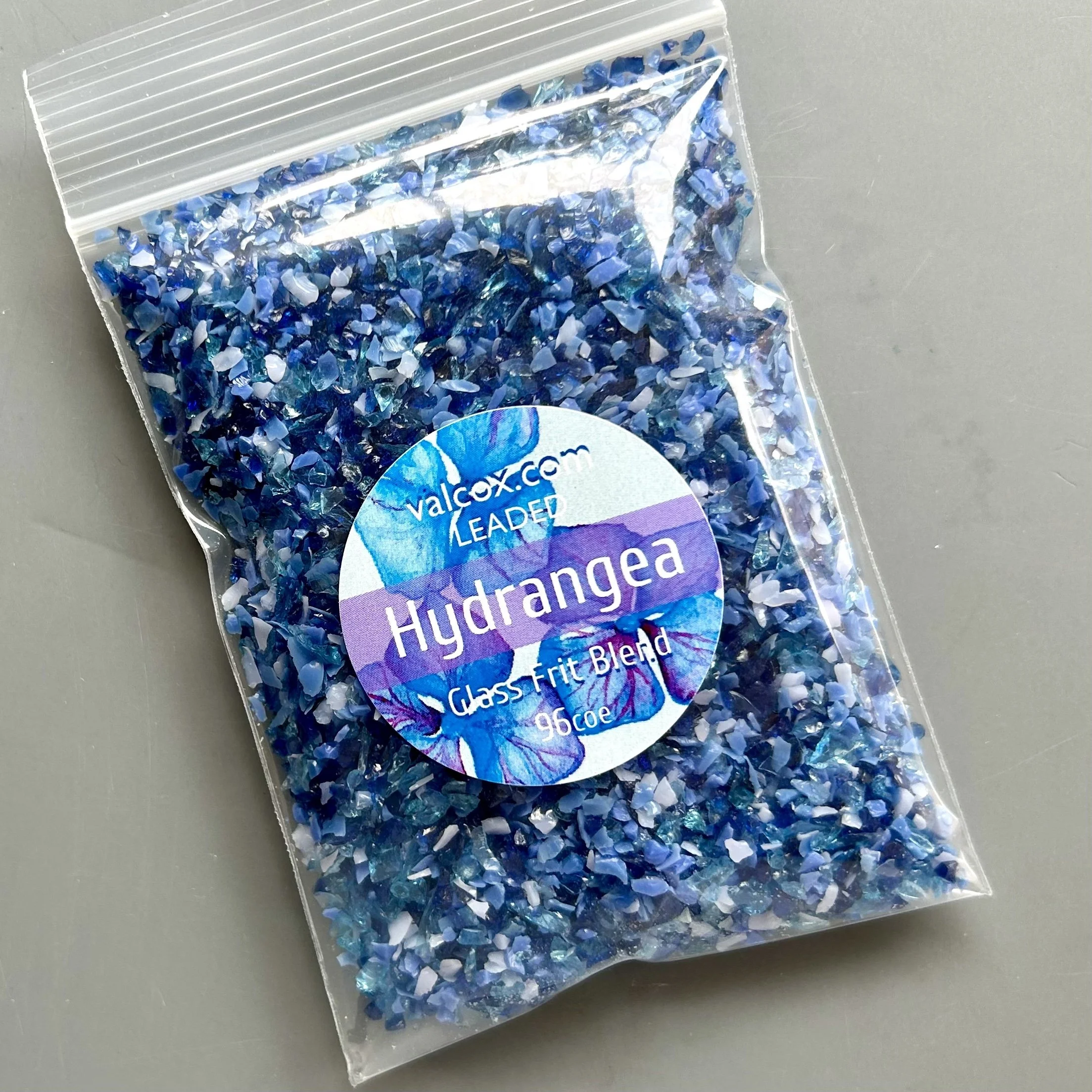 hydrangea update.jpg