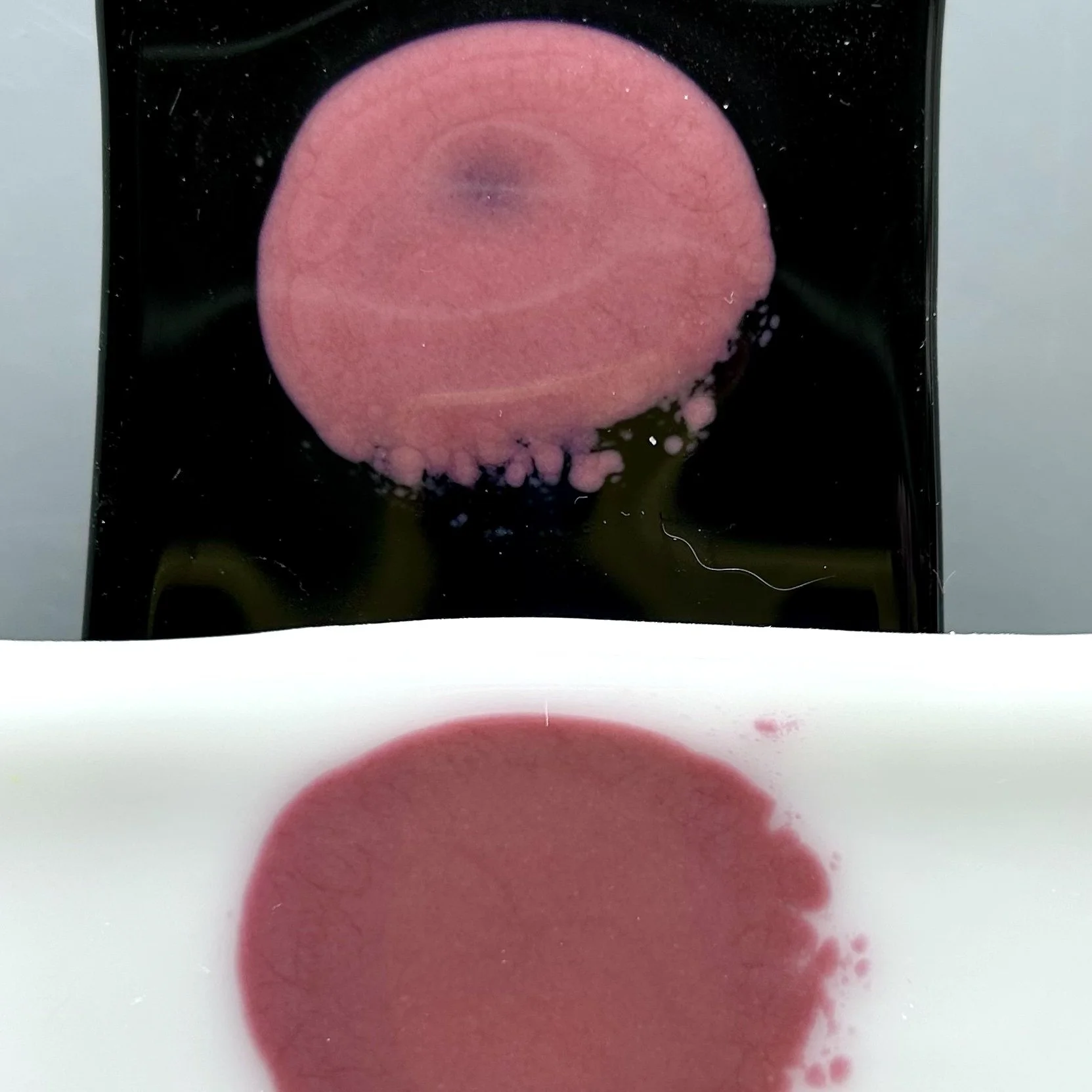 raspberry powder sample.jpg