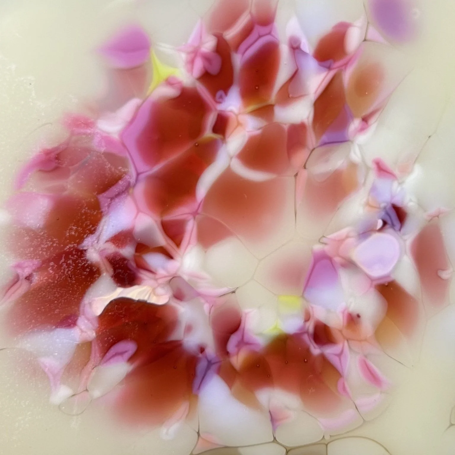 apricot ivory.jpg