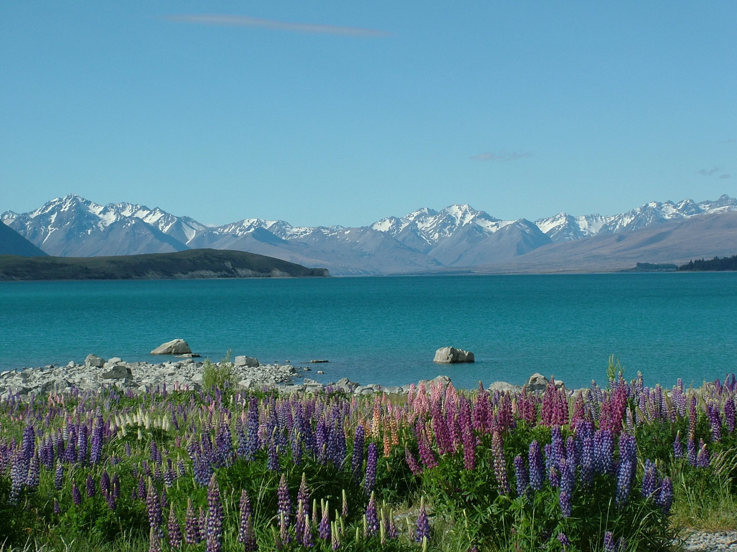 Lake_Tekapo.JPG