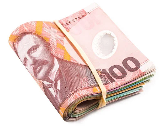 How much would a New Zealand head of state cost?