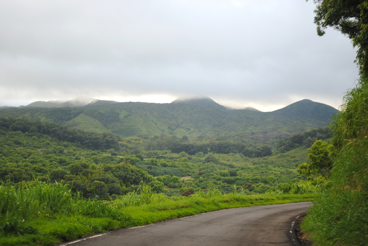 The main road in Hana
