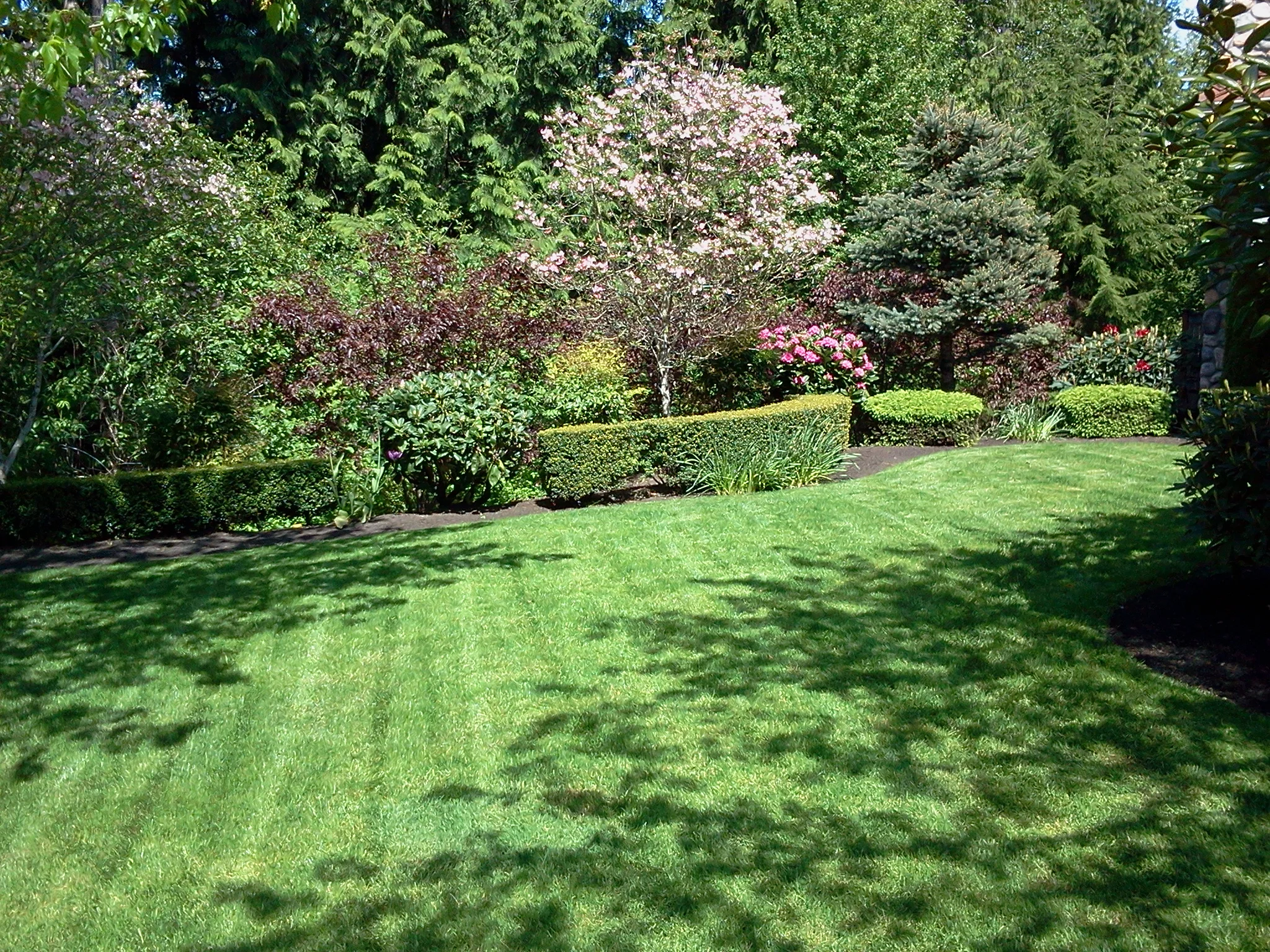 2012-05-17 15.06.19.jpg