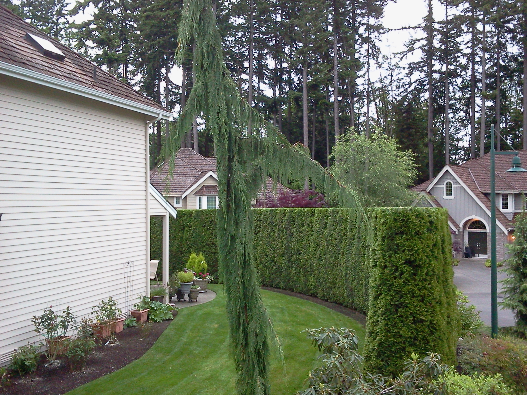 2012-06-14 19.42.42.jpg