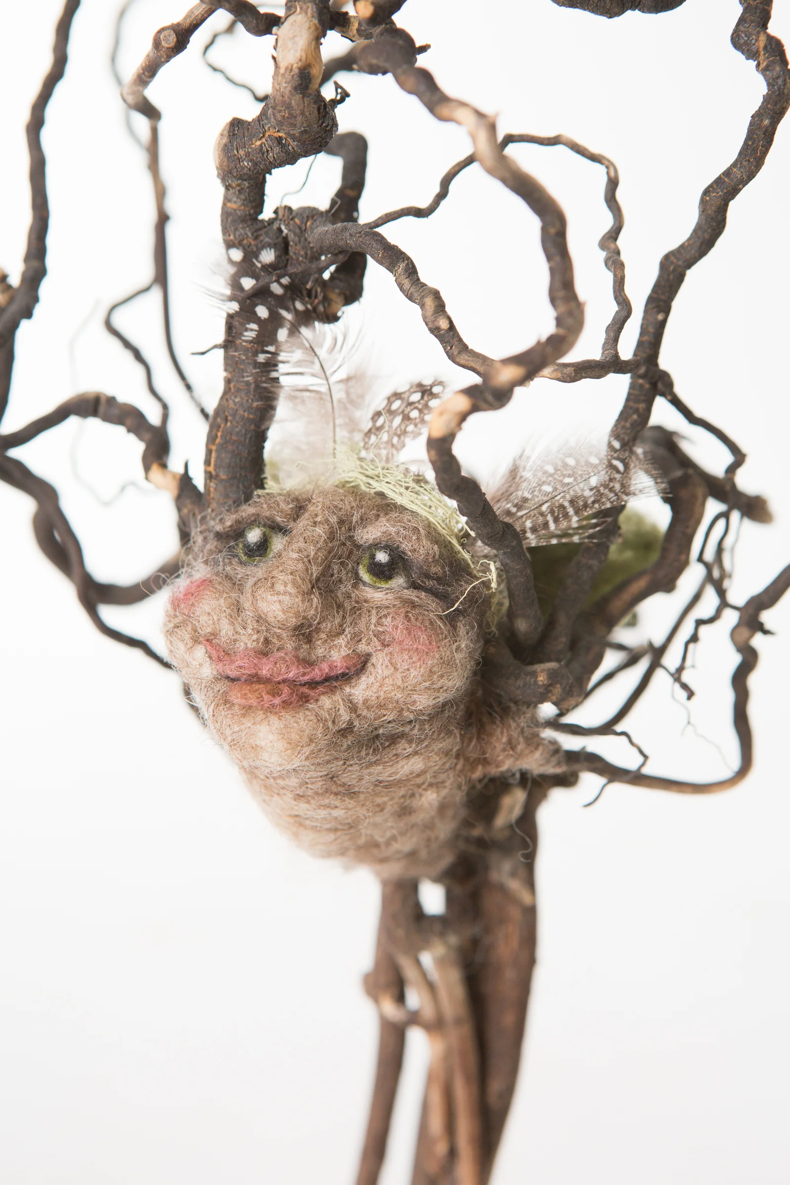 wild wool_050.jpg