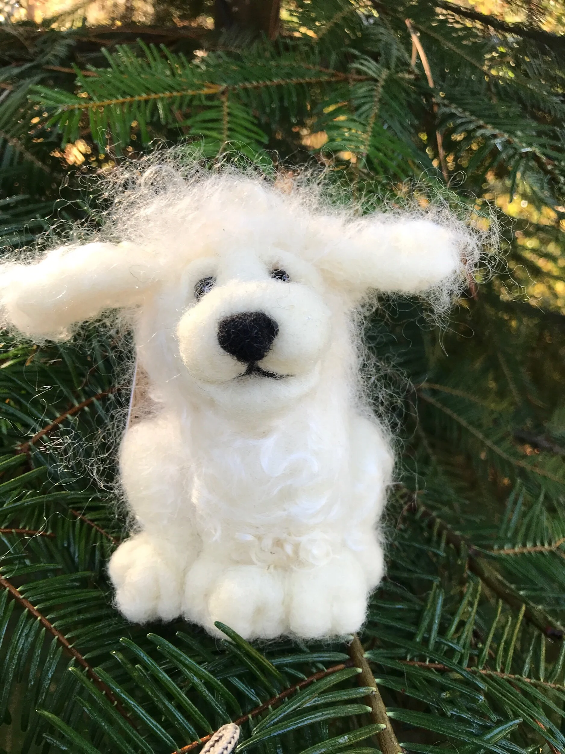 67DB9979-DAE1-4DF1-A052-9D87CD3F2DAD