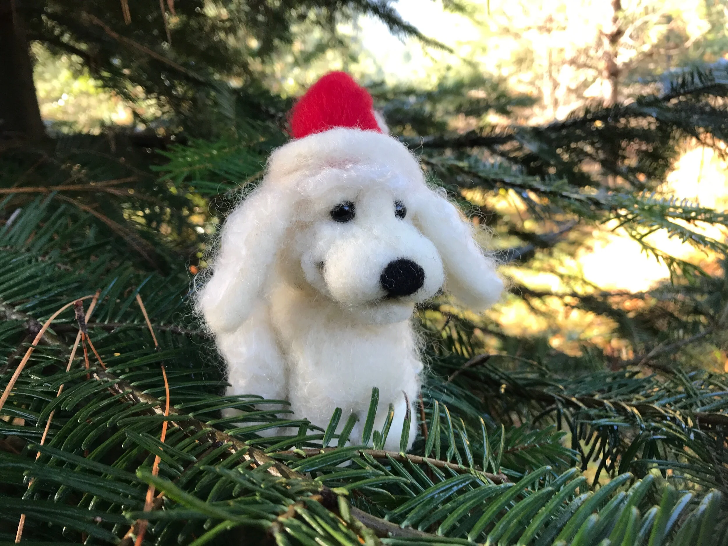 BC05F73E-7BD4-4F36-890E-20DEC2E0389E