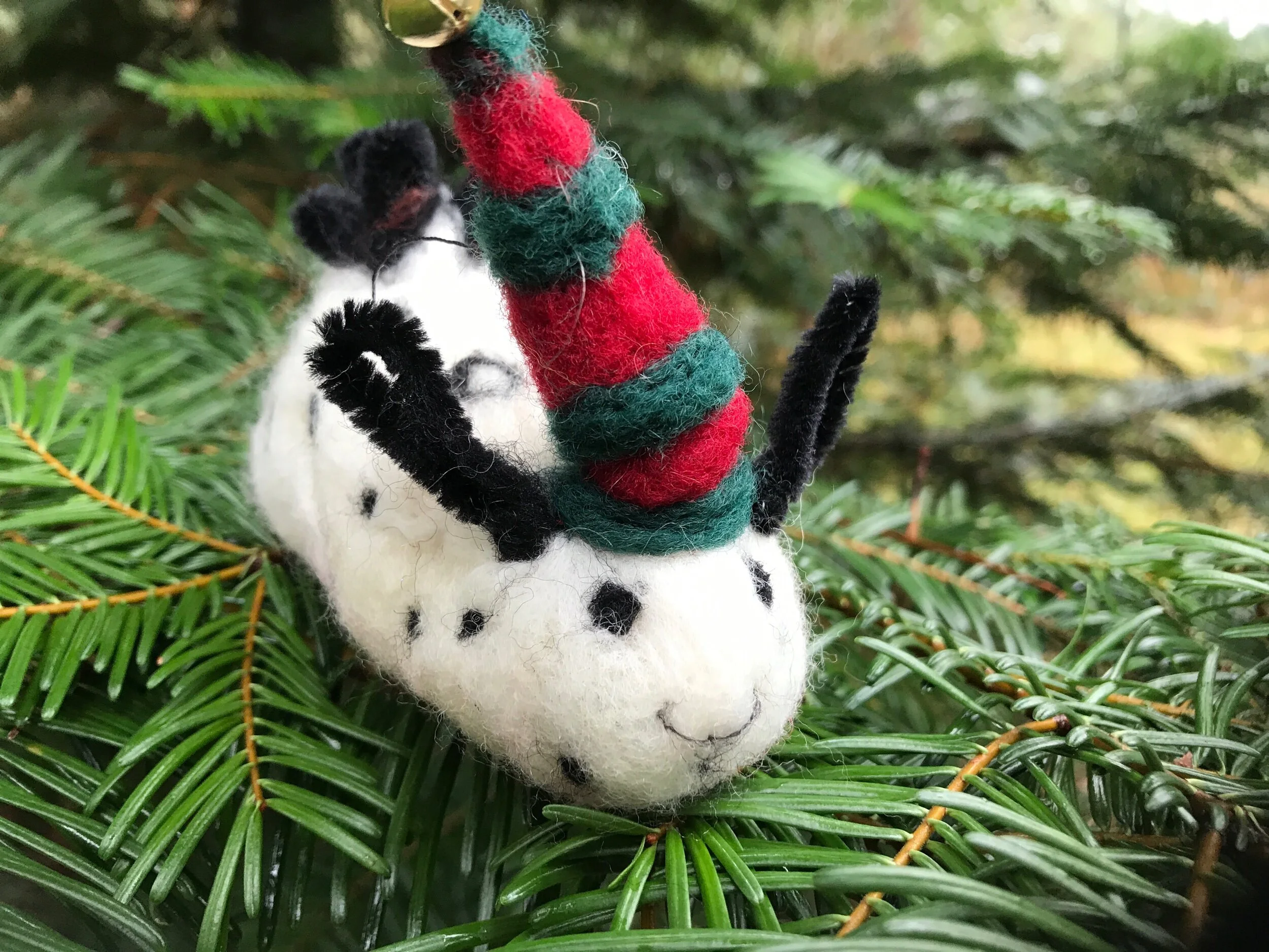 7C1EF911-FF37-4E97-BBCE-F281637EE66A