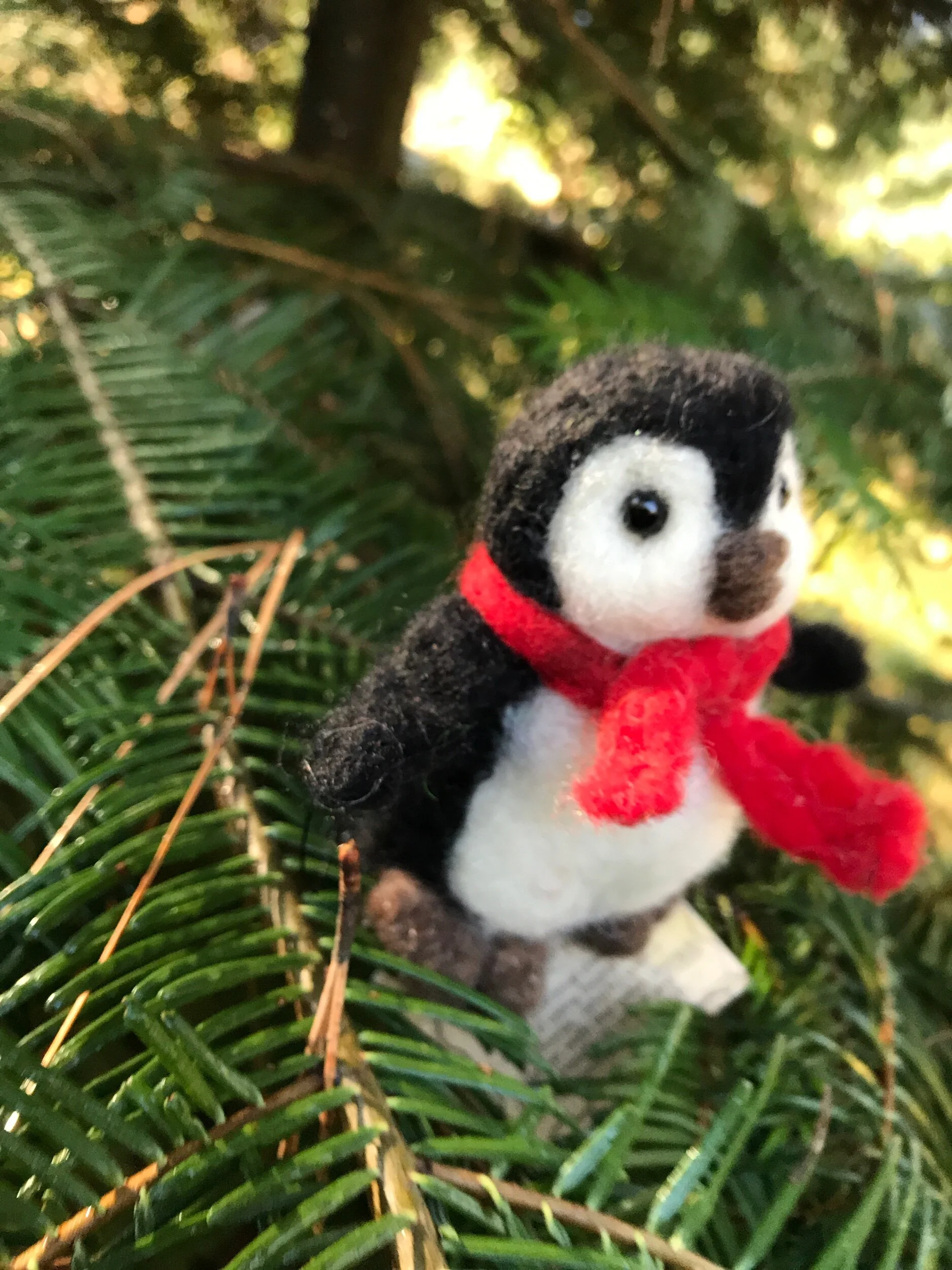 6B259C29-CA84-480F-9A27-D4A3009AD490