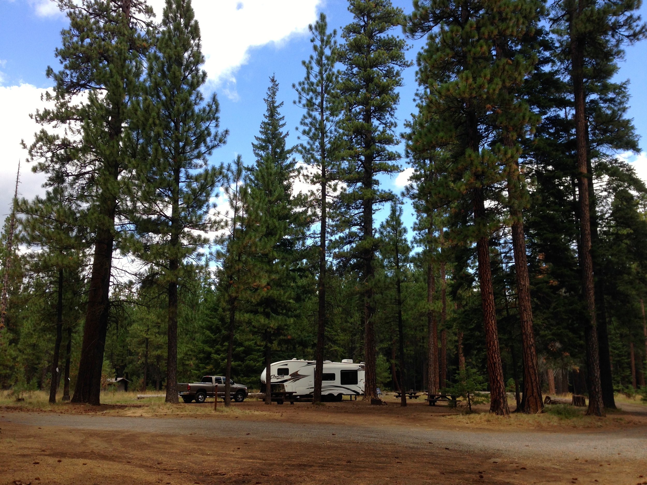 Jack Creek Campground in central, Oregon, near the Metolius River