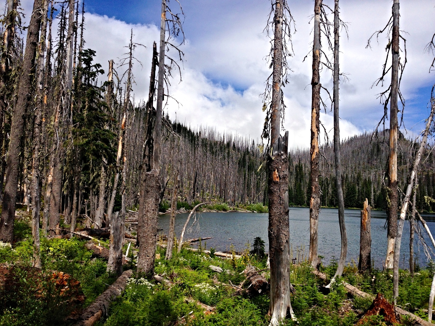  Wasco Lake 