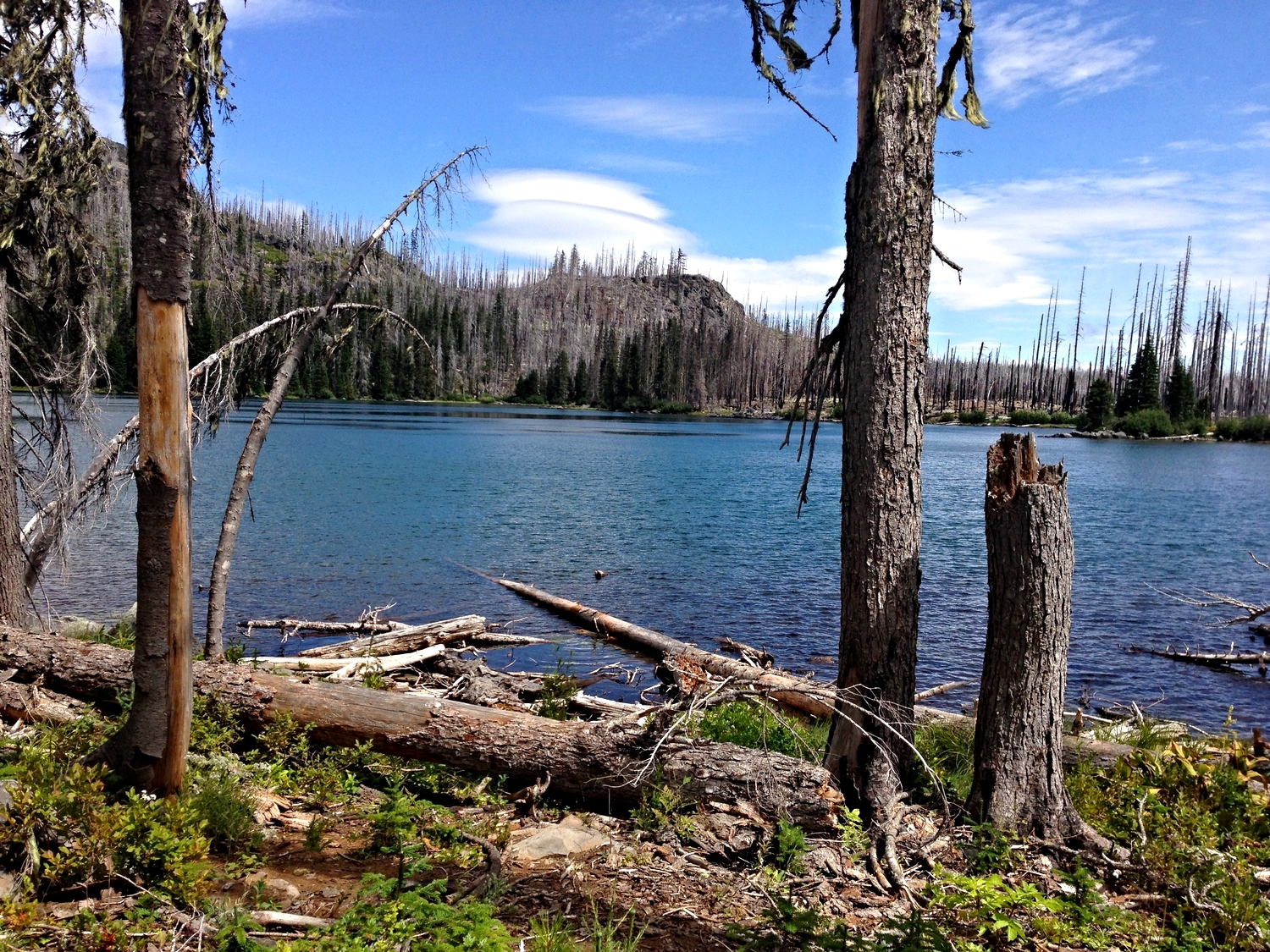  Wasco Lake 