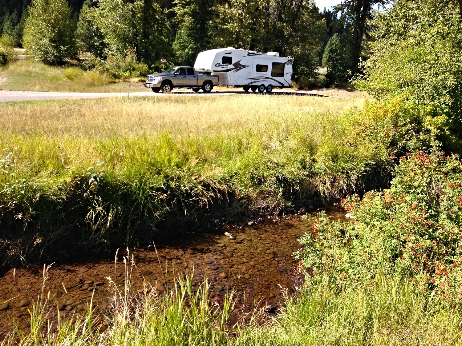Clearwater Crossing
