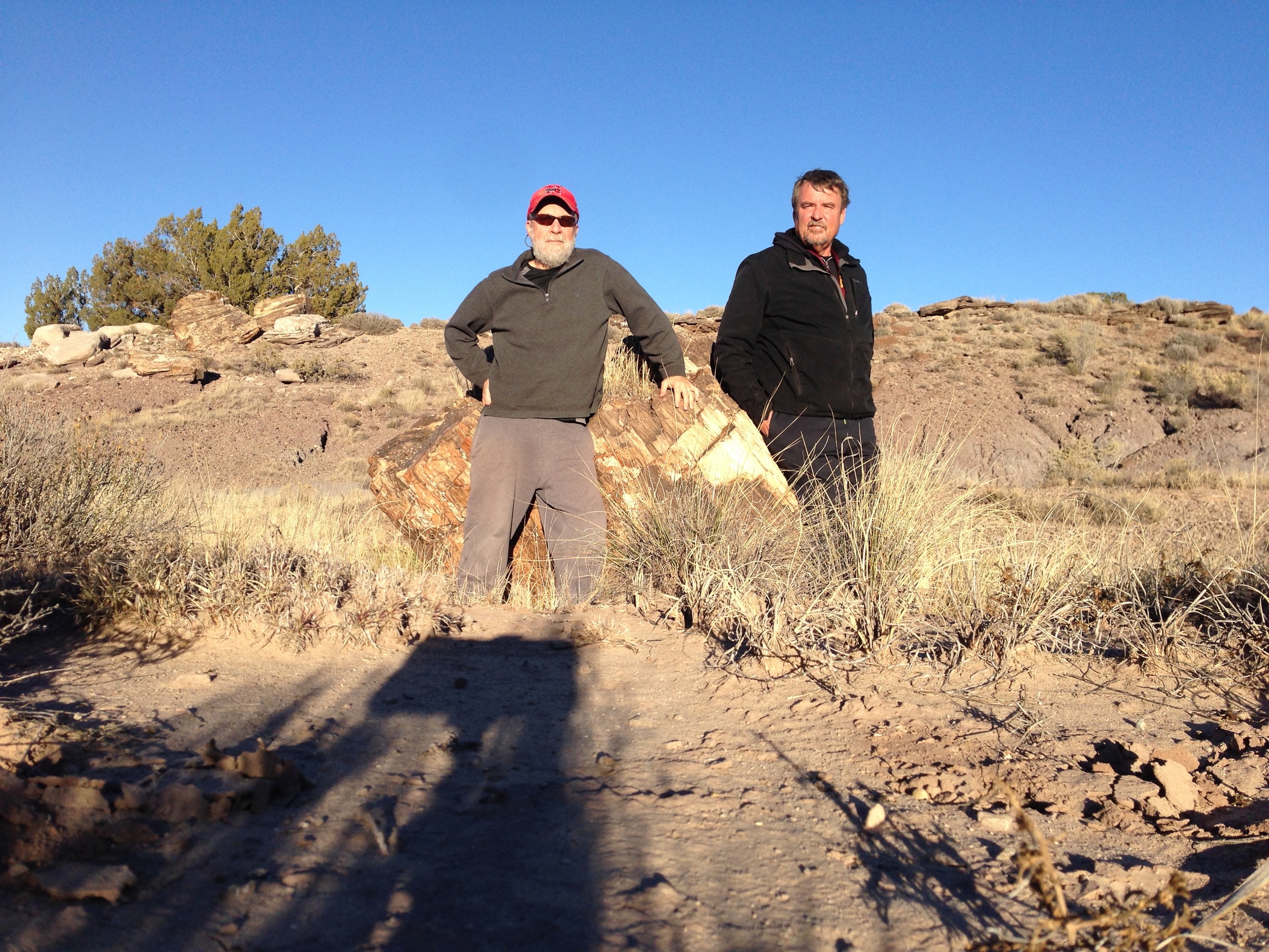 Checking out some petrified wood with Mark about a mile from his house.