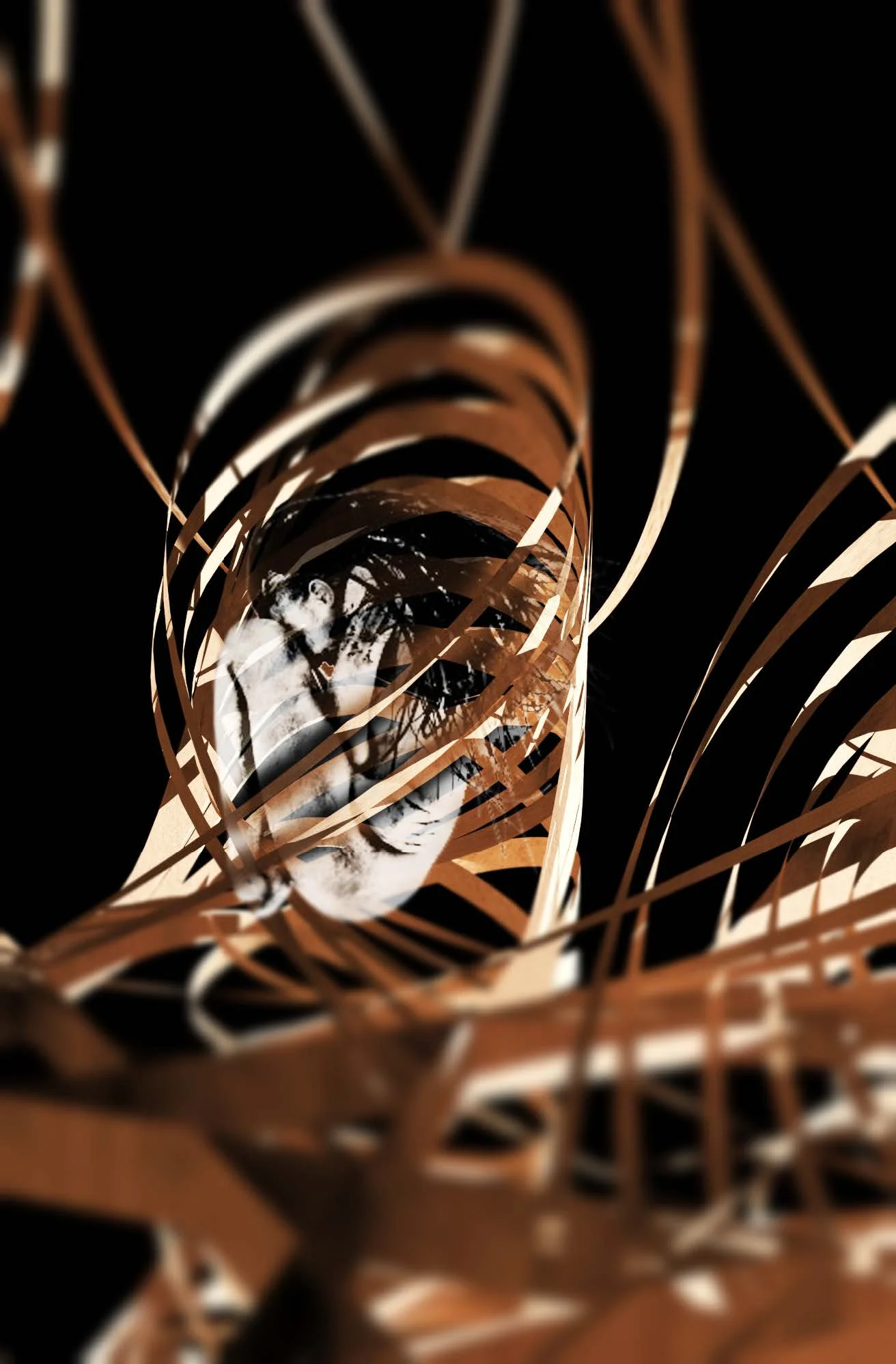  Woven wood/interior perspective of body twined in one of 8 internal pods//ossuary 