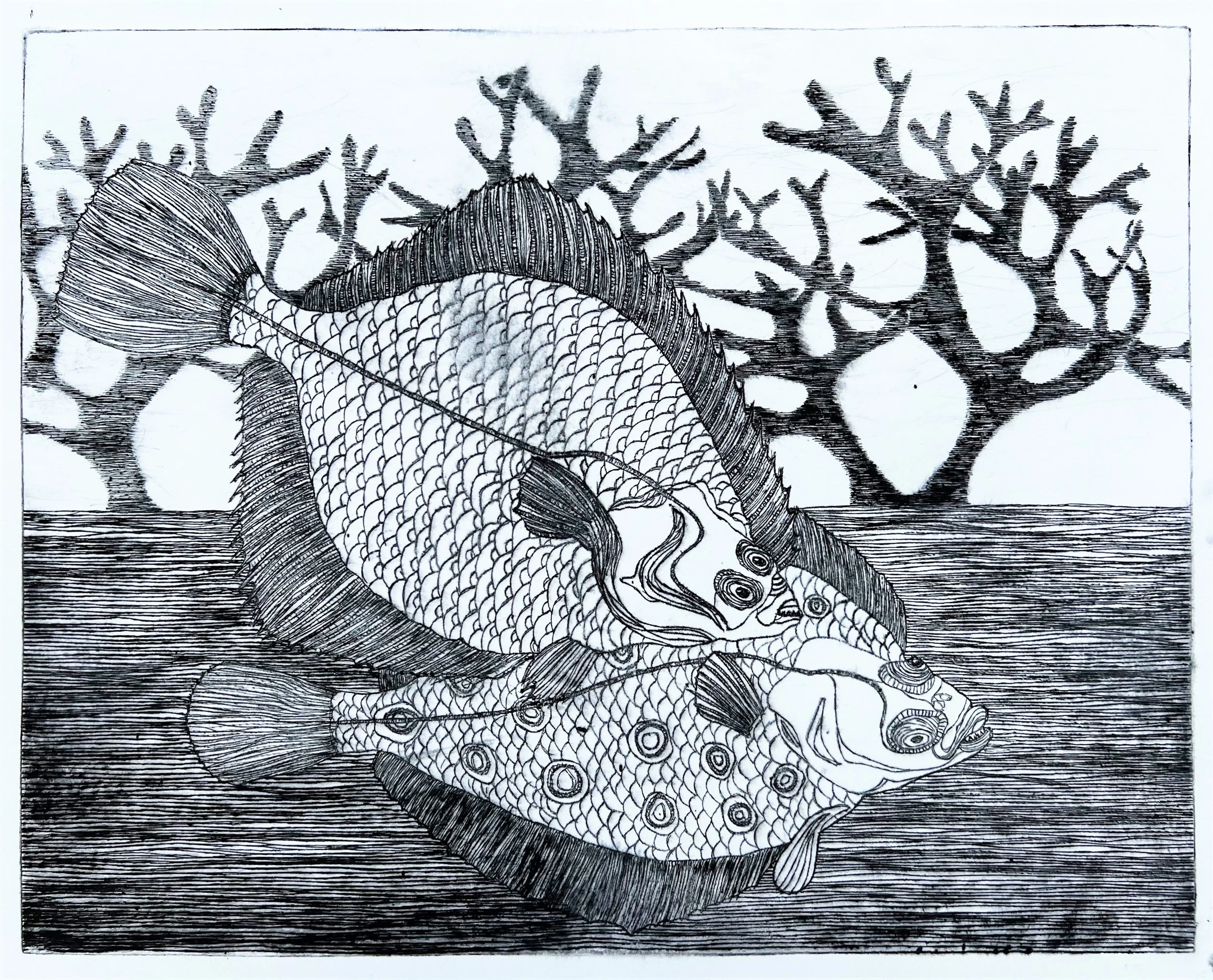  Flounder by Silvia Acosta 