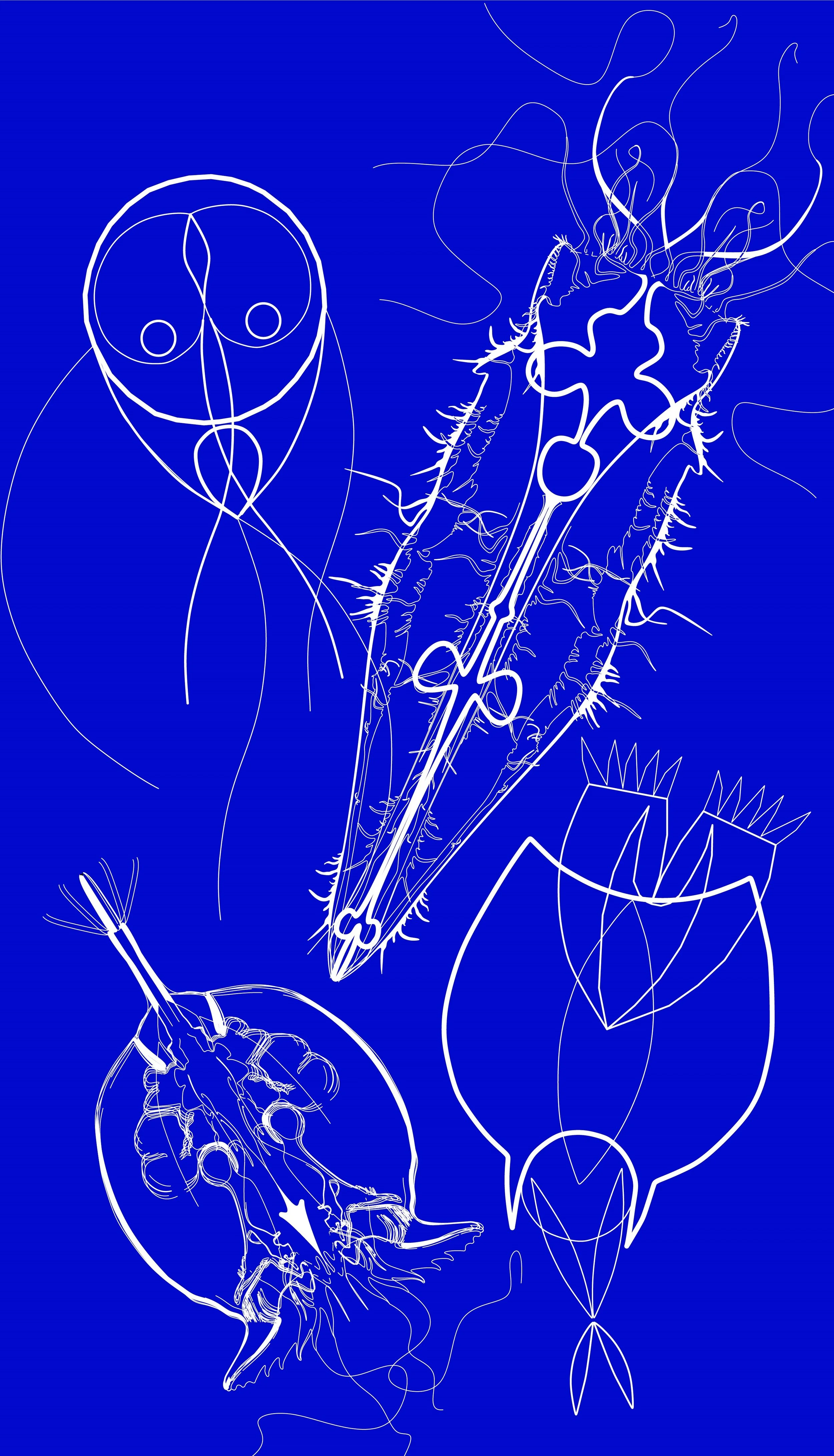  Initial microorganism graphic test 