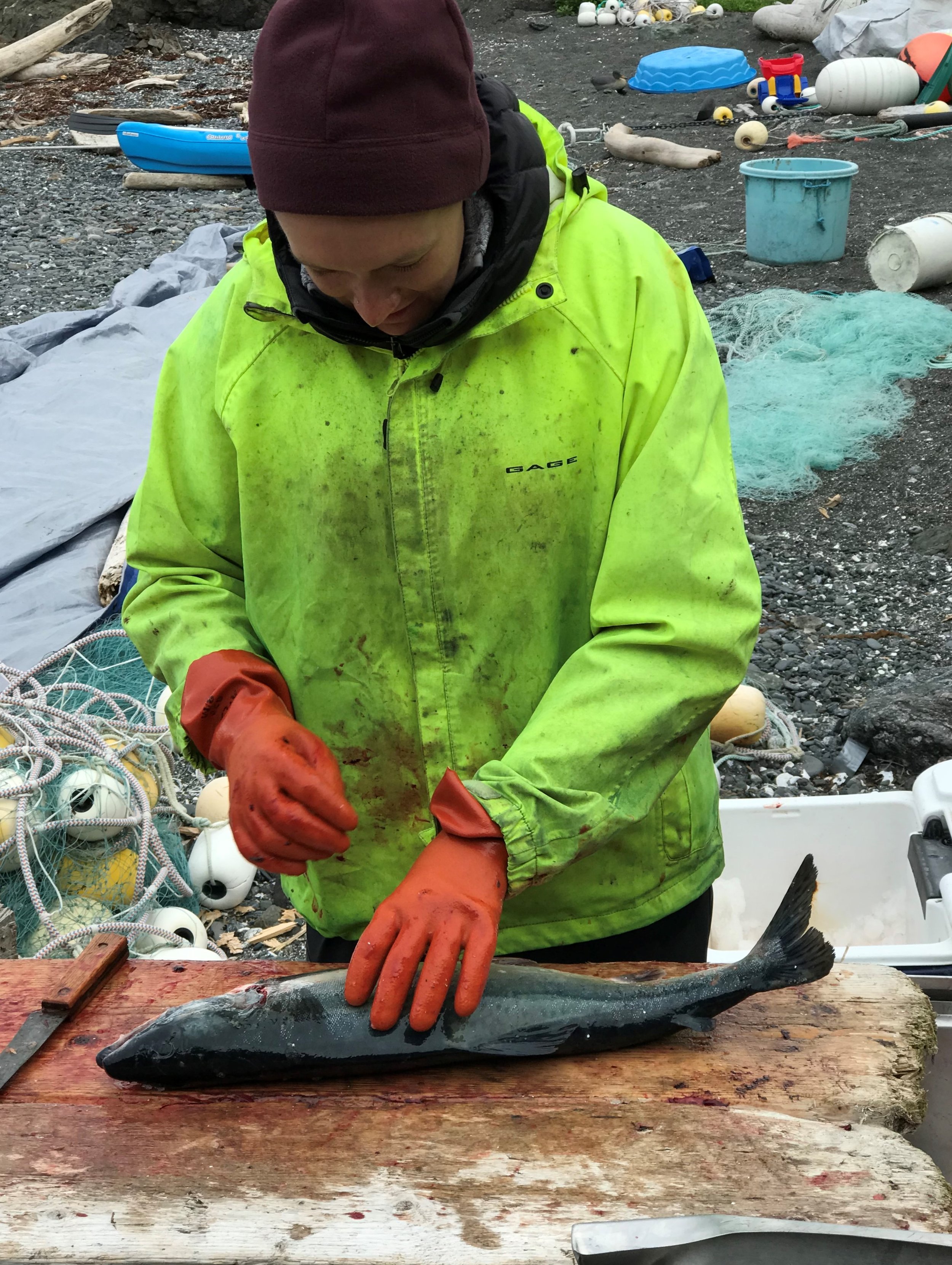 Alaskan salmon processing