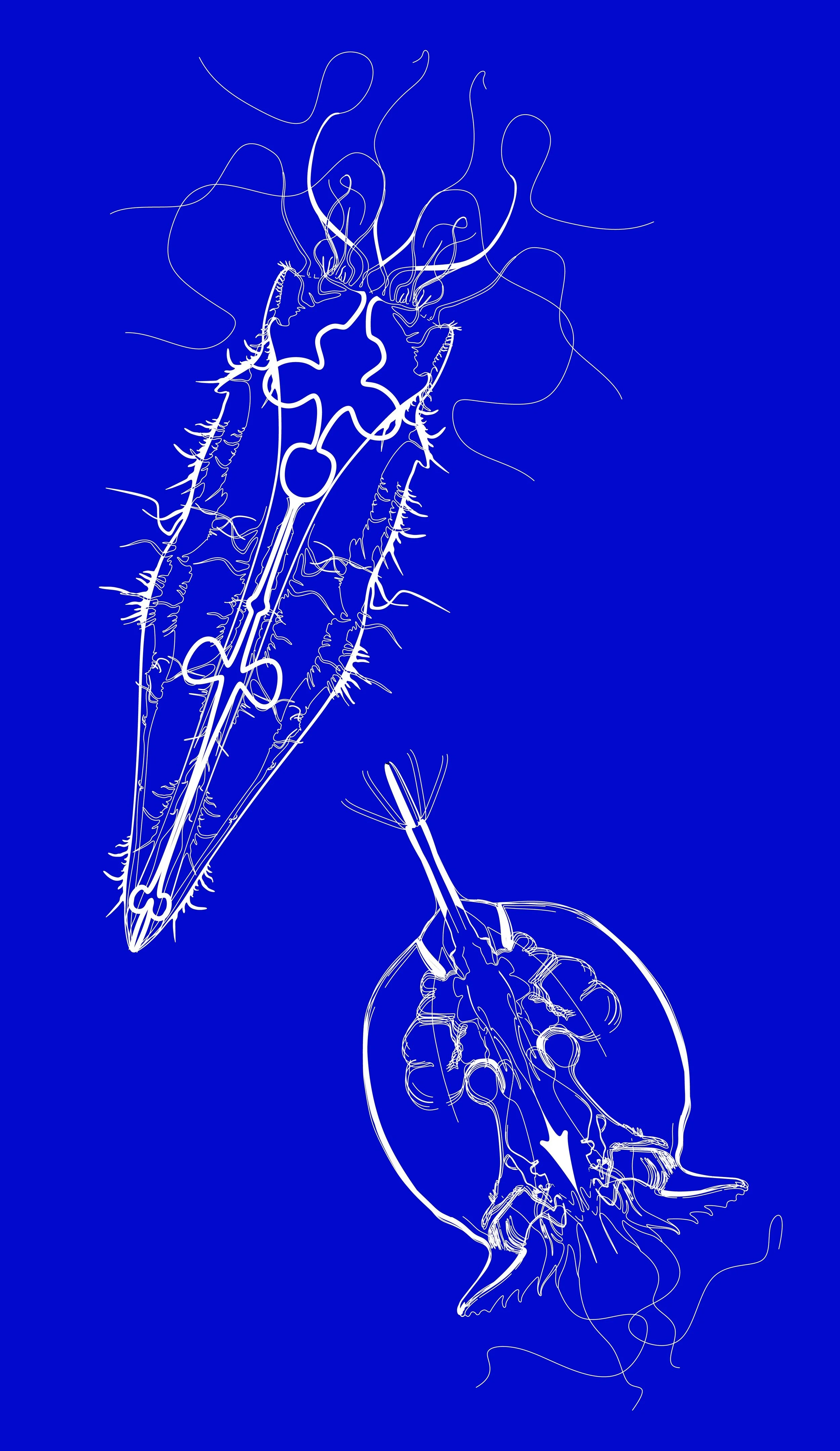  Initial microorganism graphic test 
